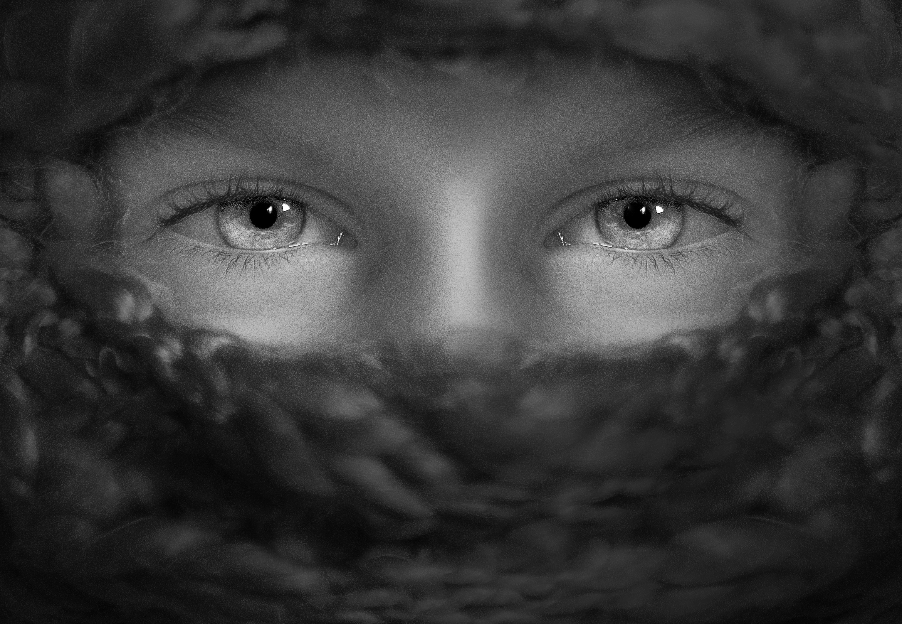 La degeneración macular de la retina